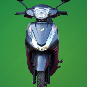 greenwing teesta